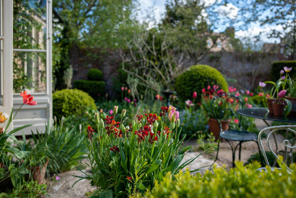 A City Garden