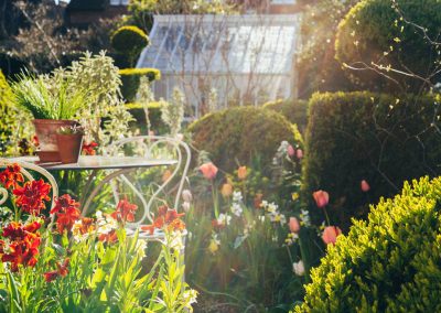 A City Garden