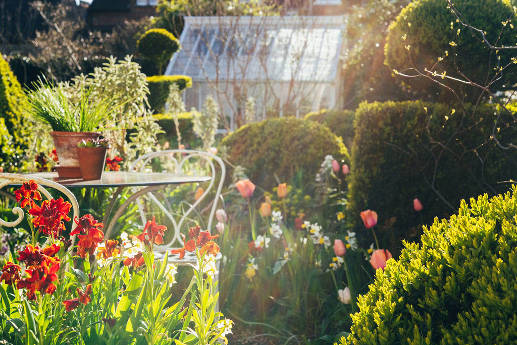 Oxford garden design with topiary, antique French café table, spring flowers and a traditional greenhouse.