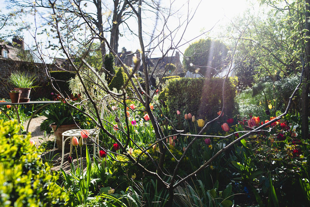 A City Garden