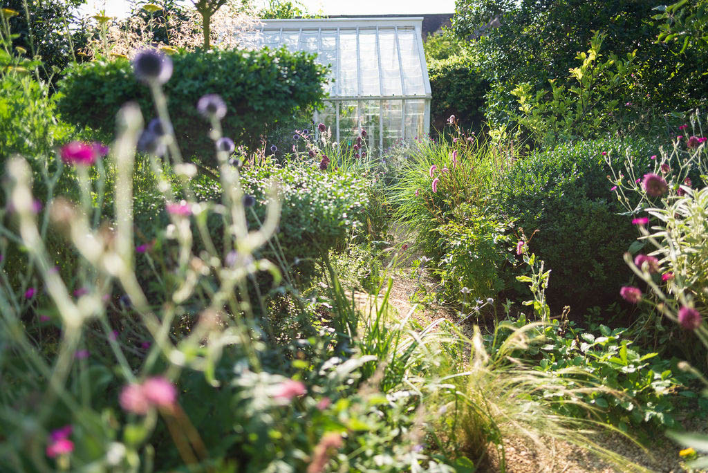 A City Garden