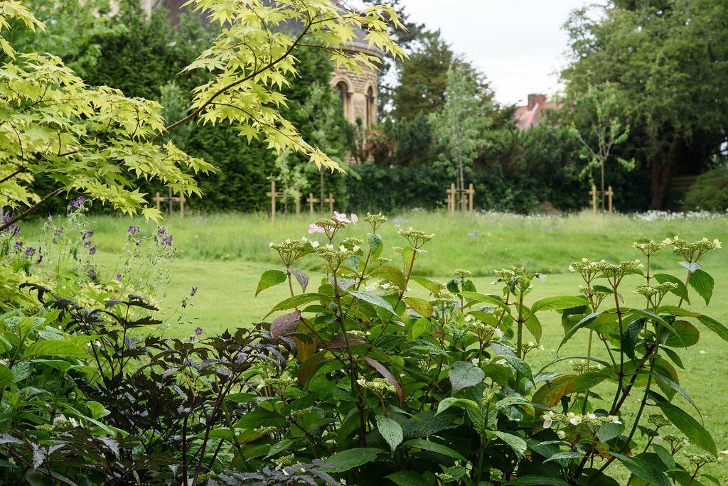 Sculpture Garden