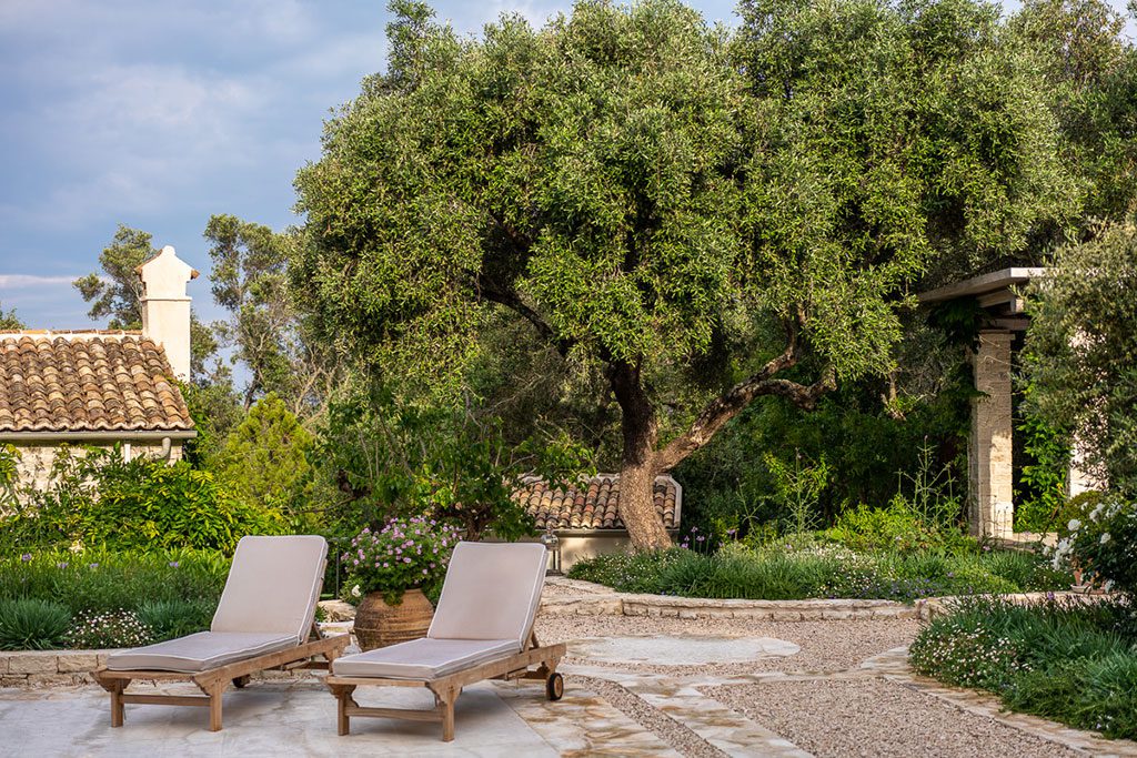 A Paxos Garden