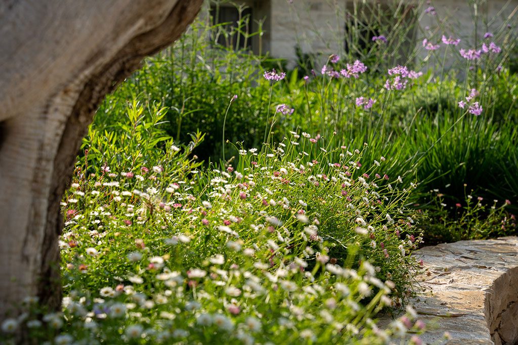 A Paxos Garden