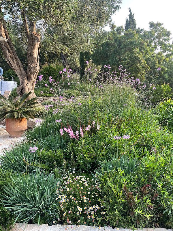 A Paxos Garden