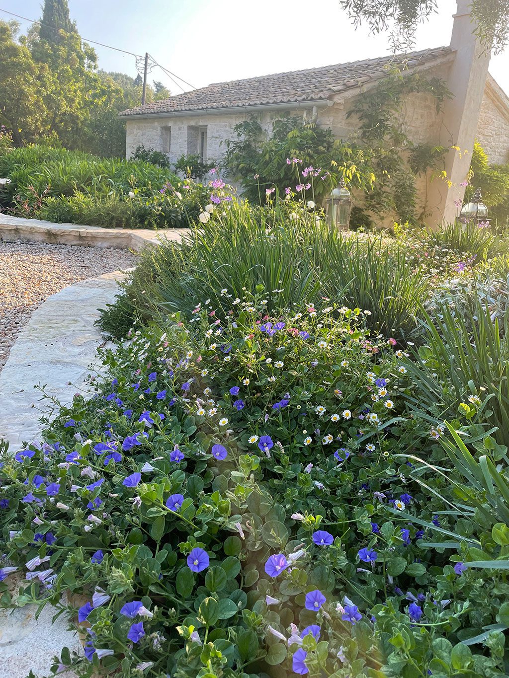 A Paxos Garden