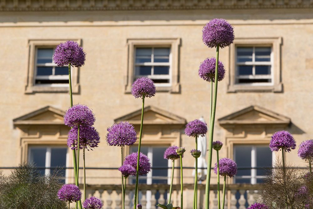 Cowley Manor