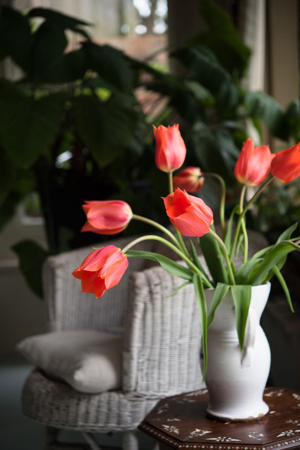 Garden Flowers