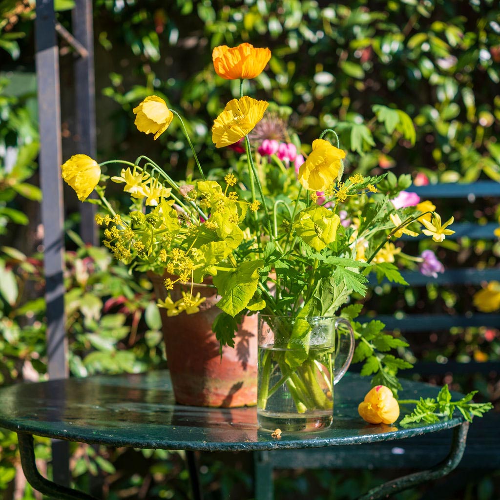 Garden Flowers