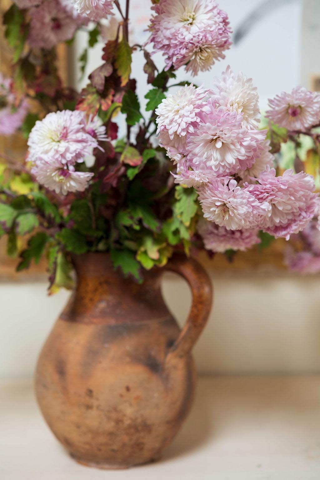 Garden Flowers