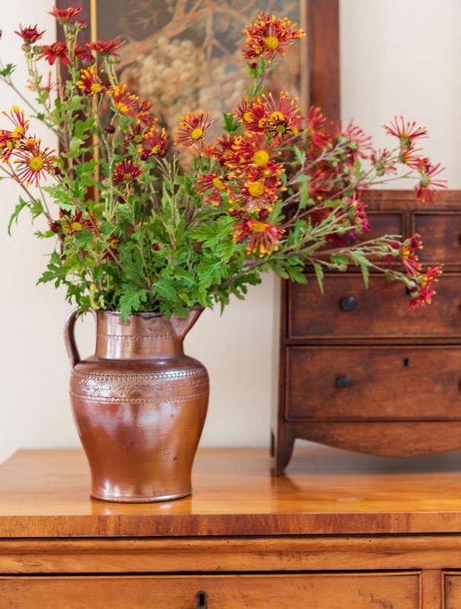 Garden Flowers