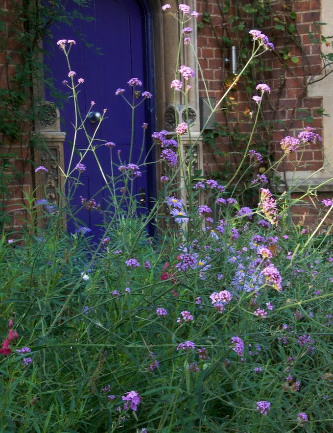 Family Garden