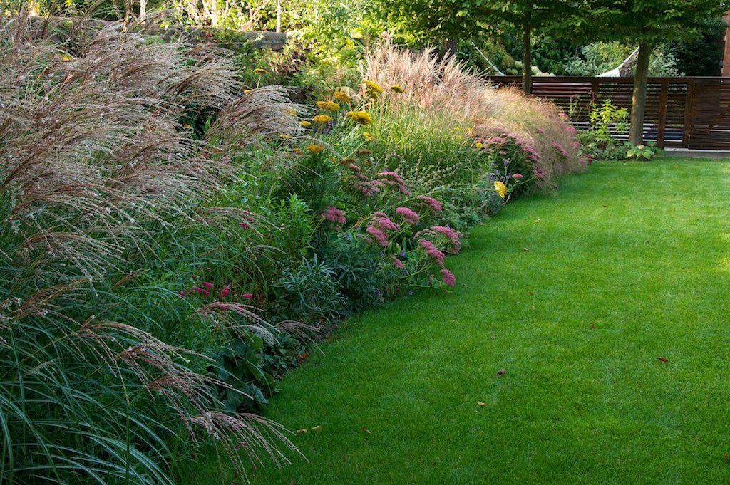 Family Garden