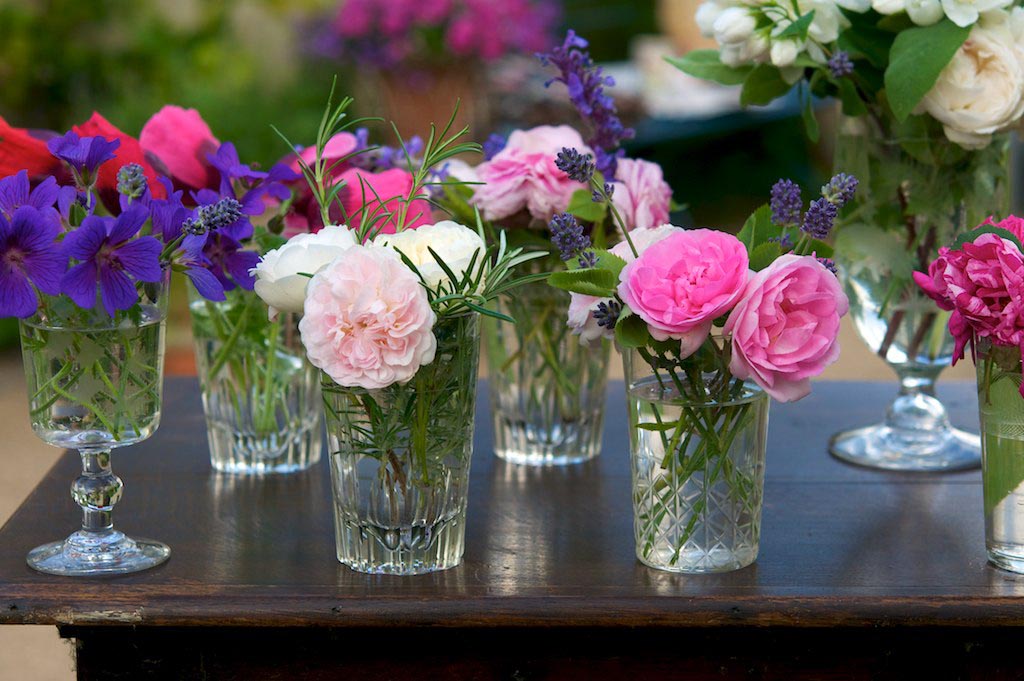 Garden Flowers