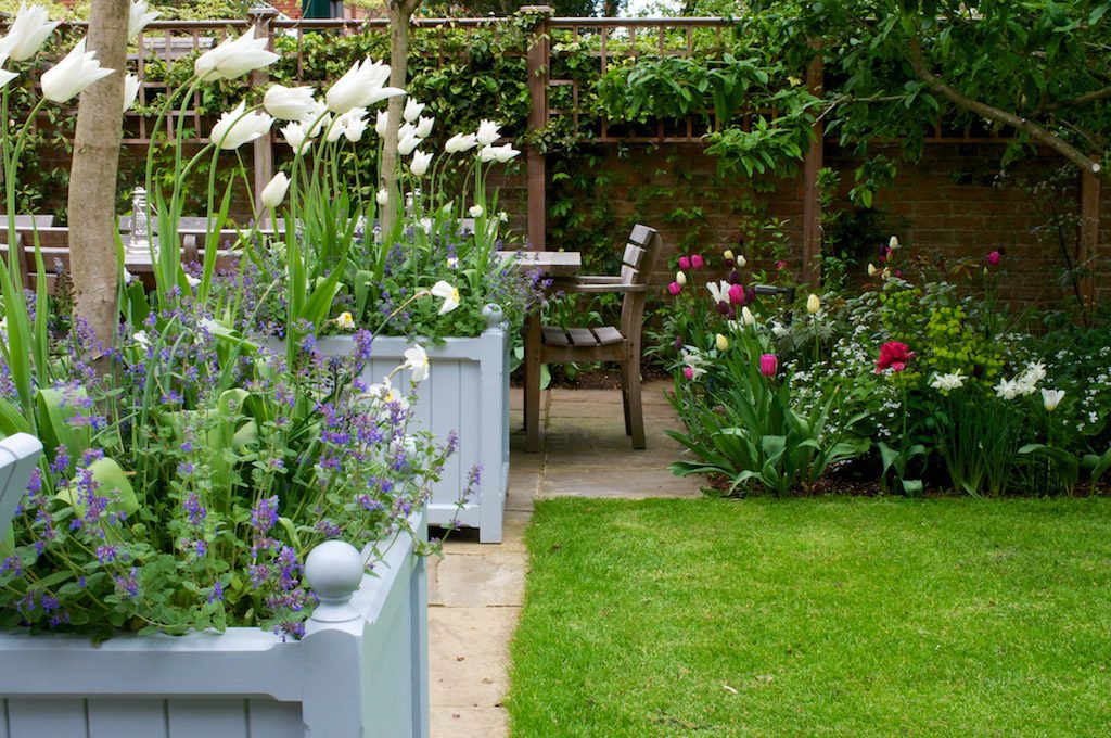 LauraHeybrook_TownGardenSpring-09_Bardwell