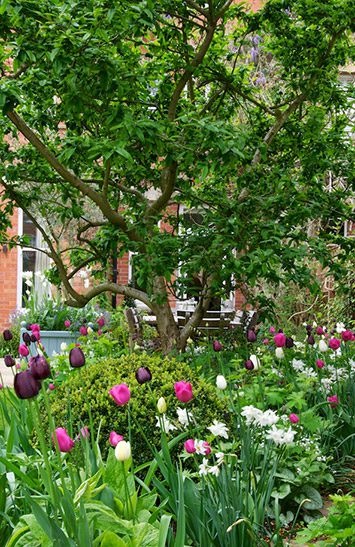 LauraHeybrook_TownGardenSpring-62_Bardwell