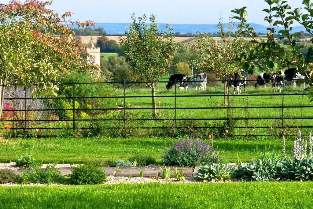 LauraHeybrook_VillageGarden_Image15