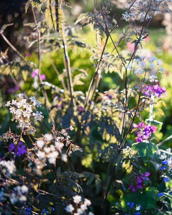 Village Garden