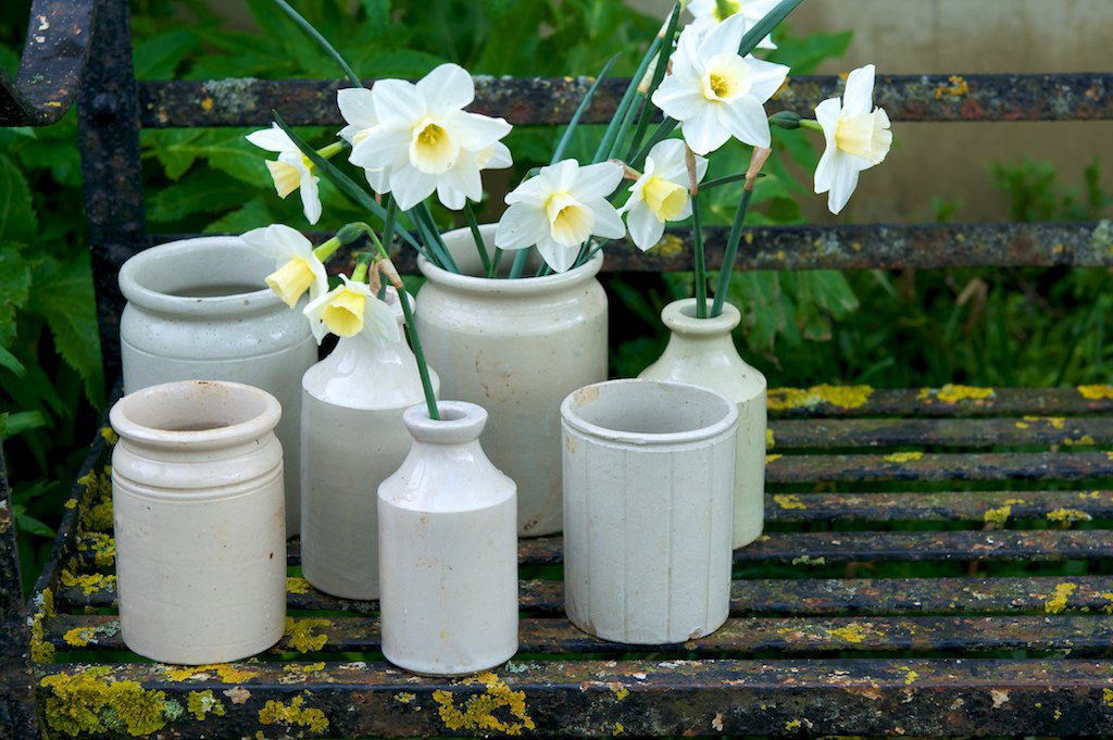 Garden Flowers