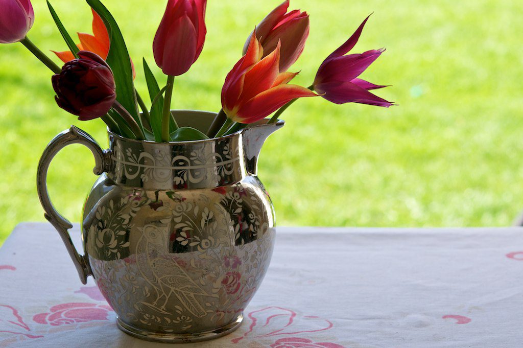 Garden Flowers