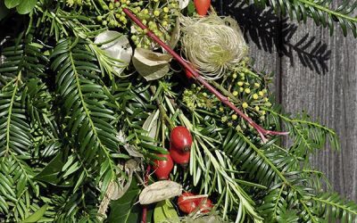 A warm and wonderful welcome