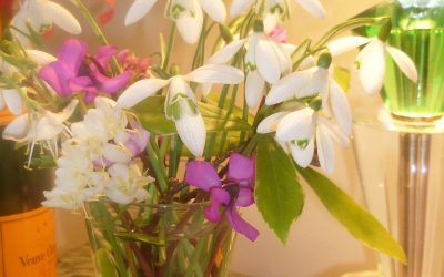 St. Valentine’s Day