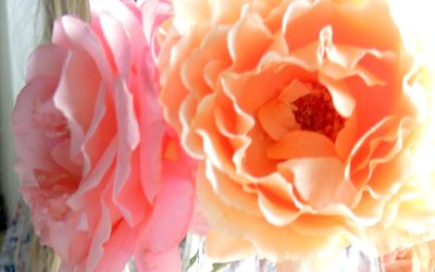Fabulous roses