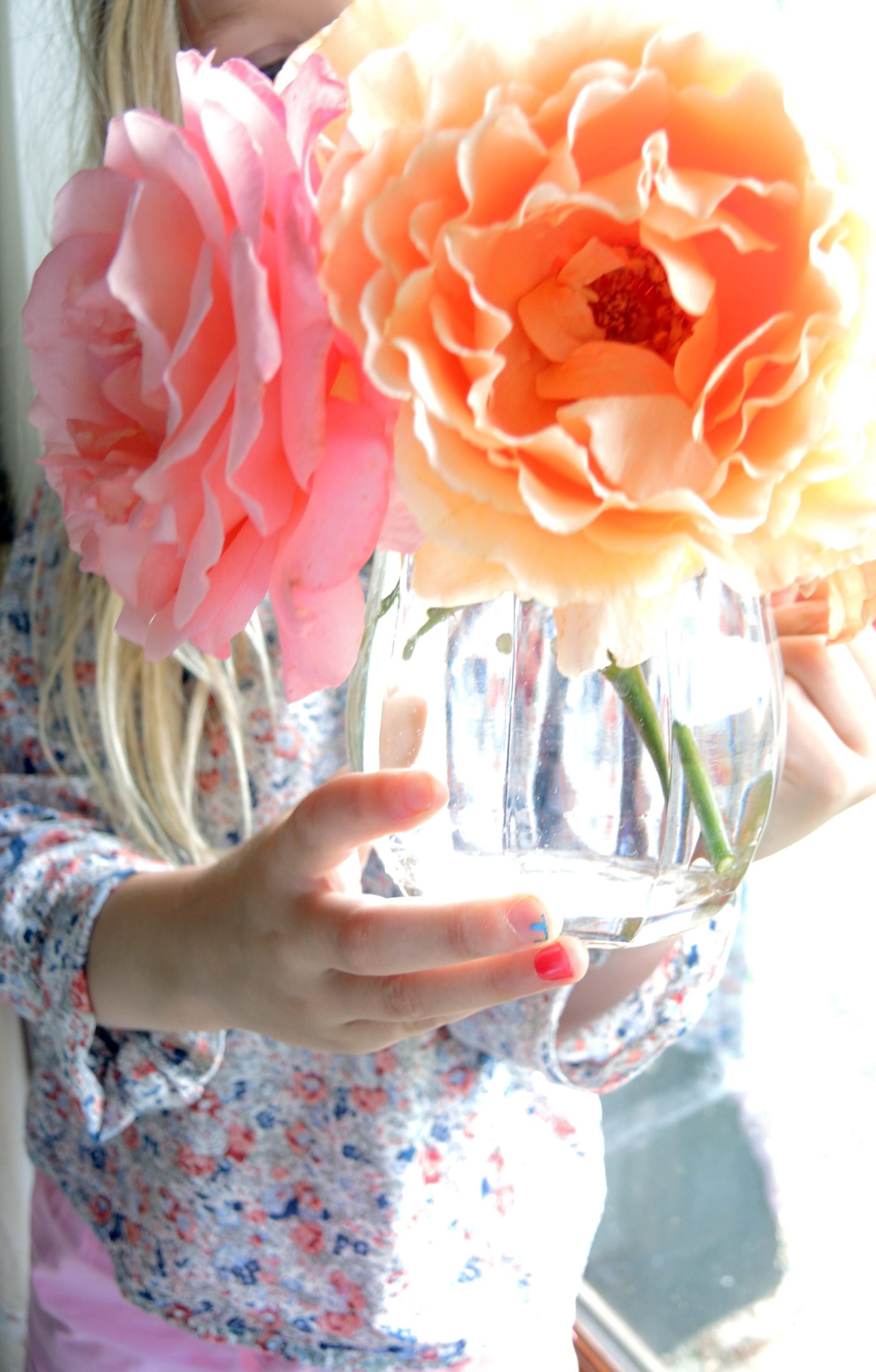Fabulous roses