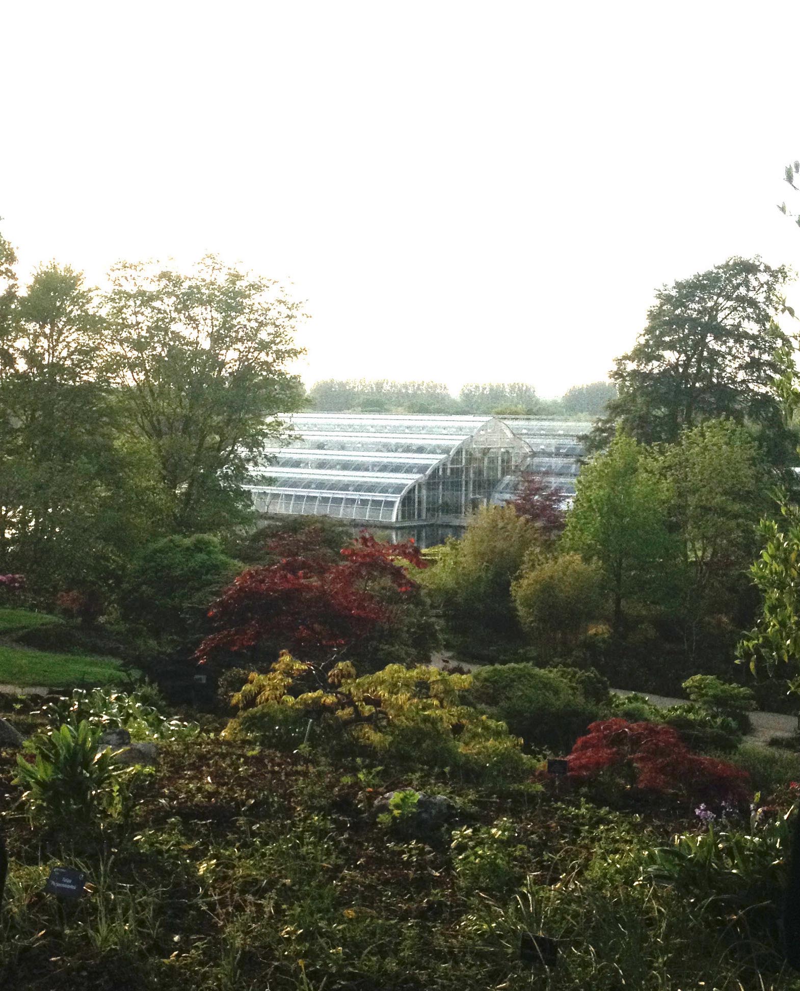 Wonderful Wisley