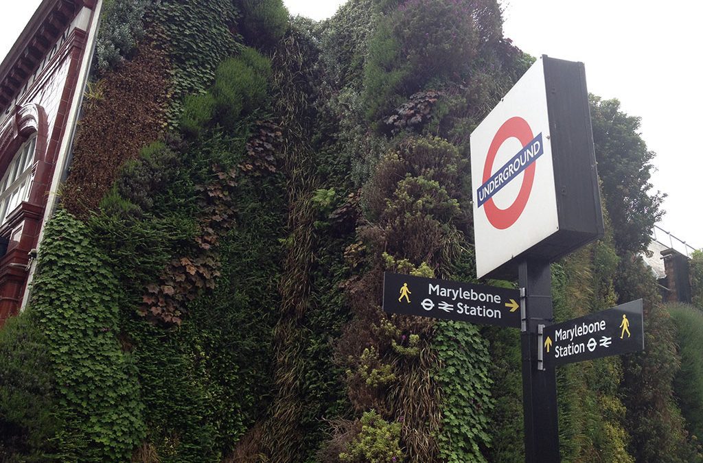 Urban Greening