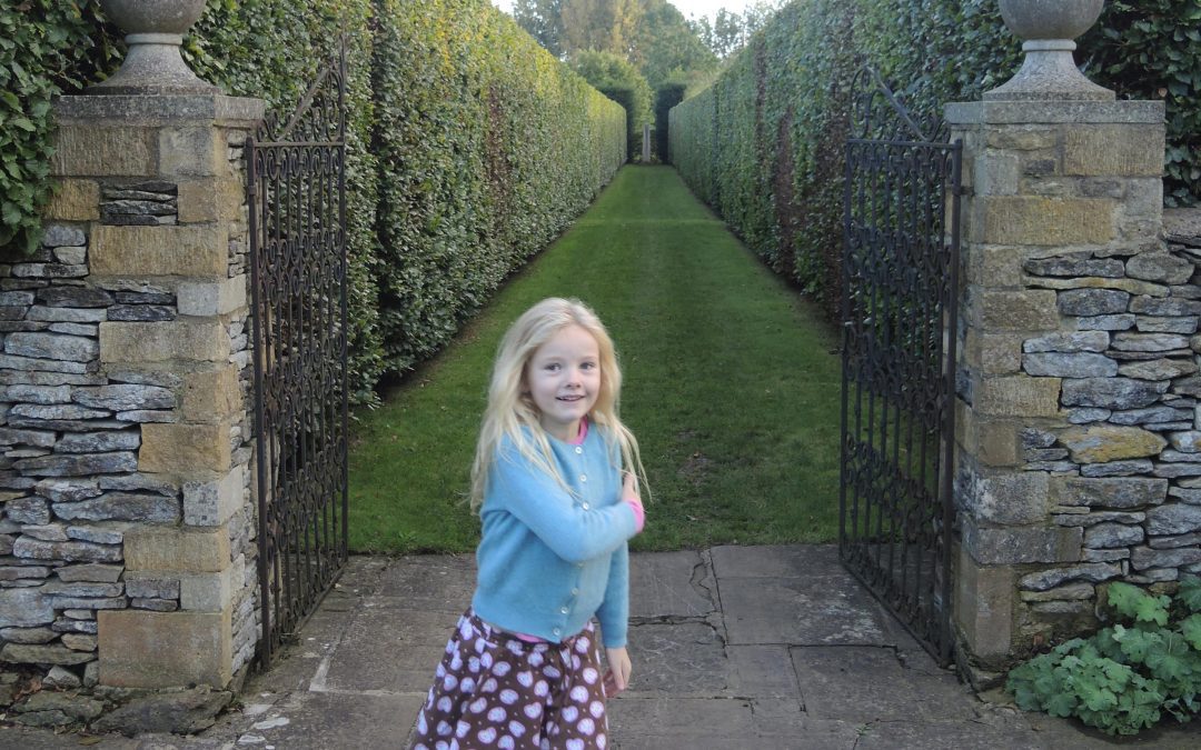 Hedges