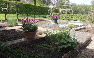 National Garden Scheme