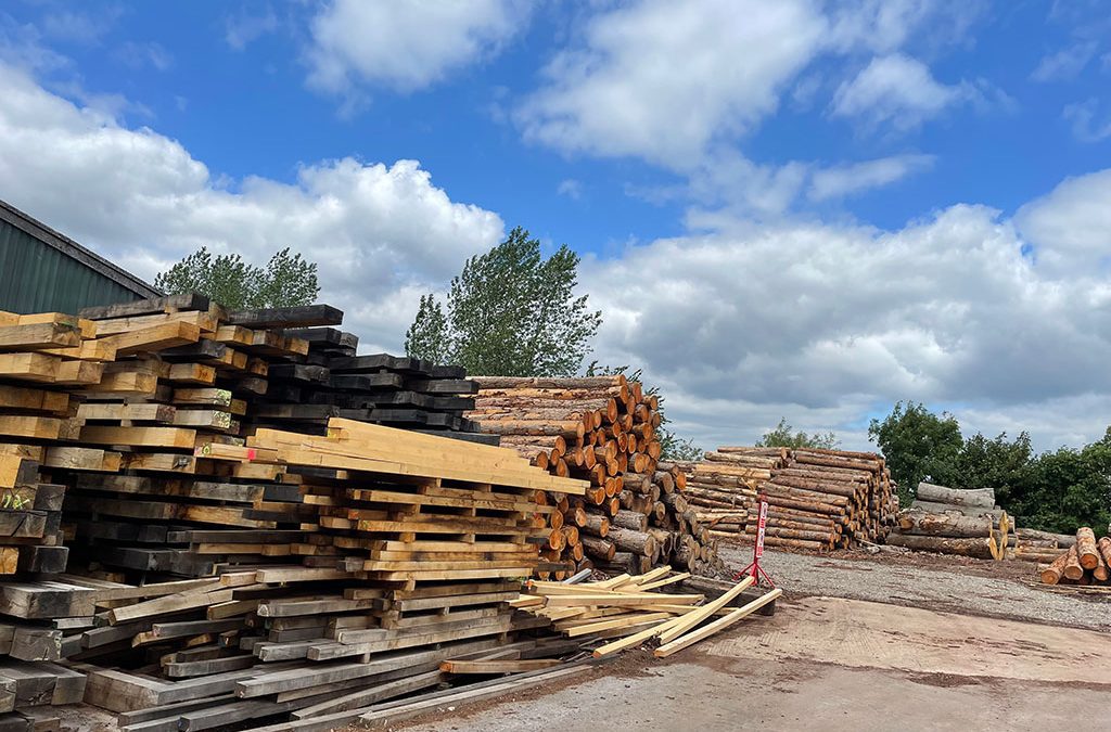 Finding English oak planks