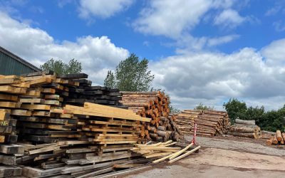 Finding English oak planks