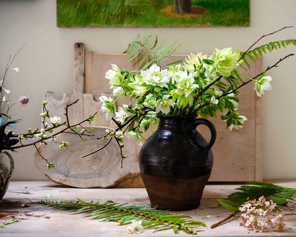 Garden Flowers