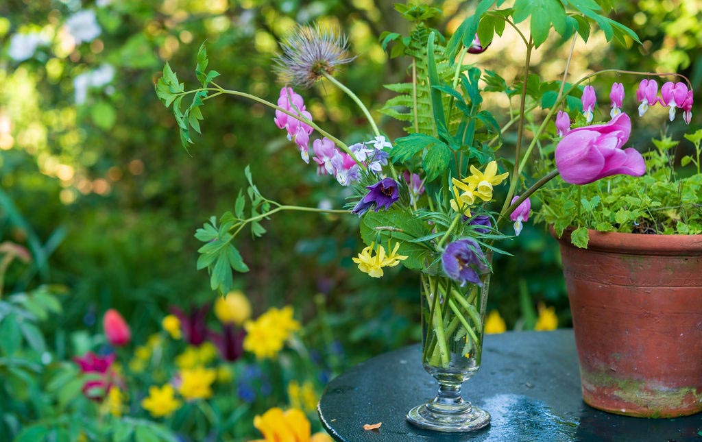 Flowers from the Garden