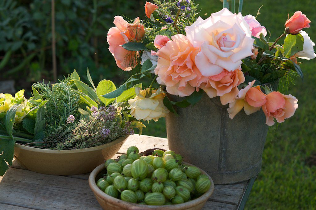 Productive Garden