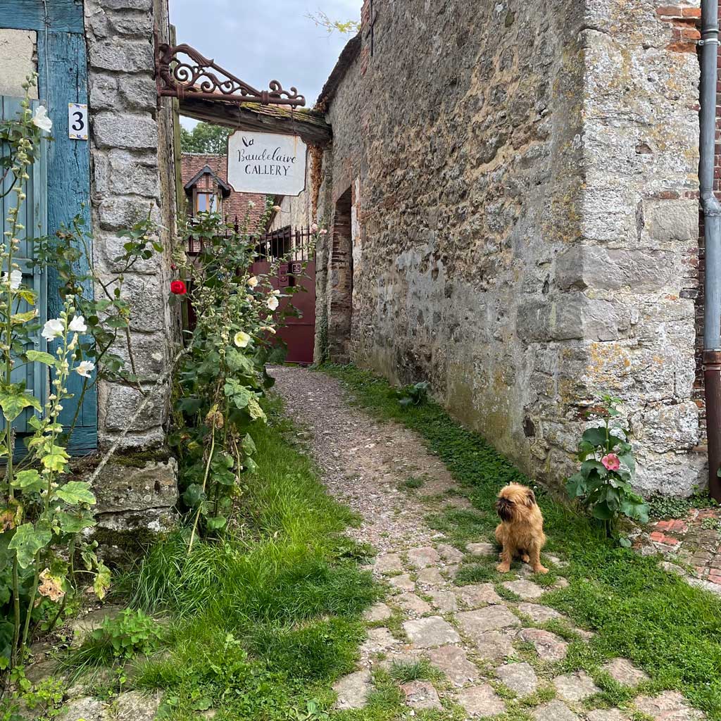 A dog sitting on a cobbled path in front of a stone building