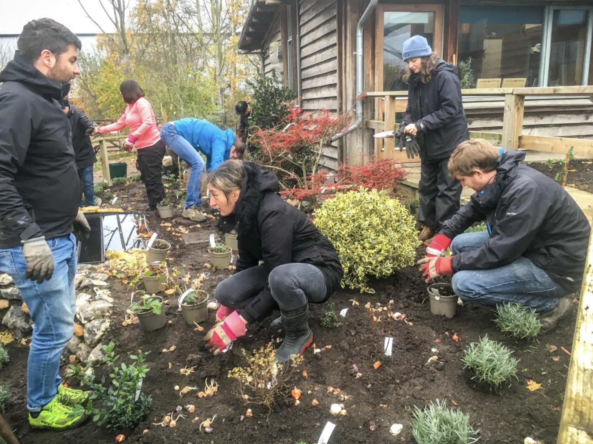 Volunteers at the Wildlife Trust, Sutton Courtney planting a wildlife pond garden