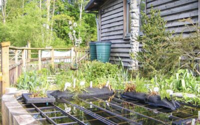 The BBOWT Environmental Educational Garden