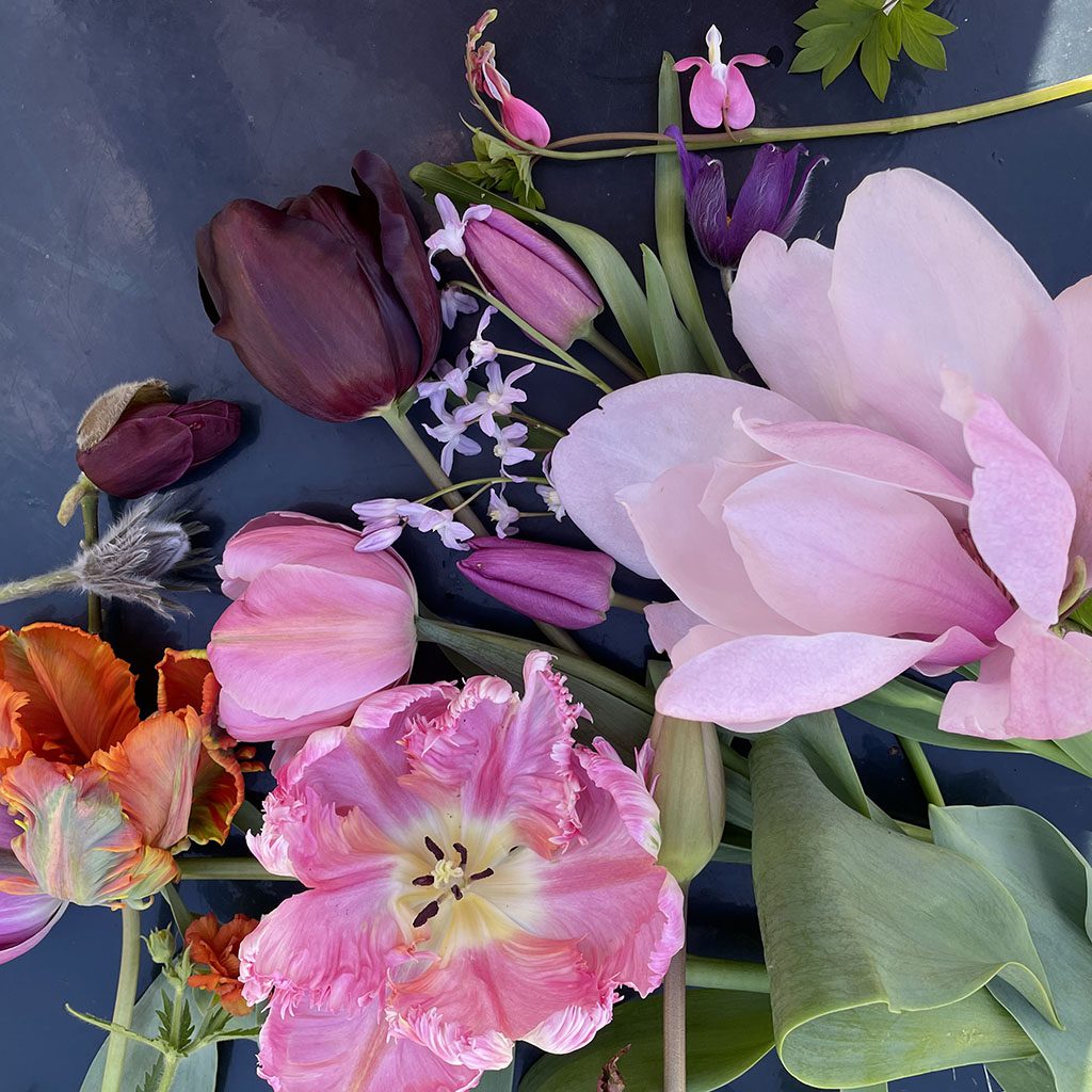 Tulips, clematis, bleeding heart and spring flowers on a dark blue background.