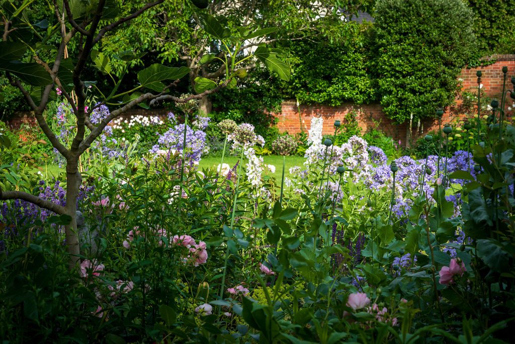 Oxfordshire summer redbrick walled garden with pink and blue flowers.
