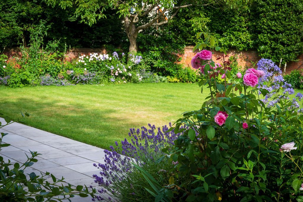 Oxfordshire walled garden, with lawn, summer planting and York stone terrace.