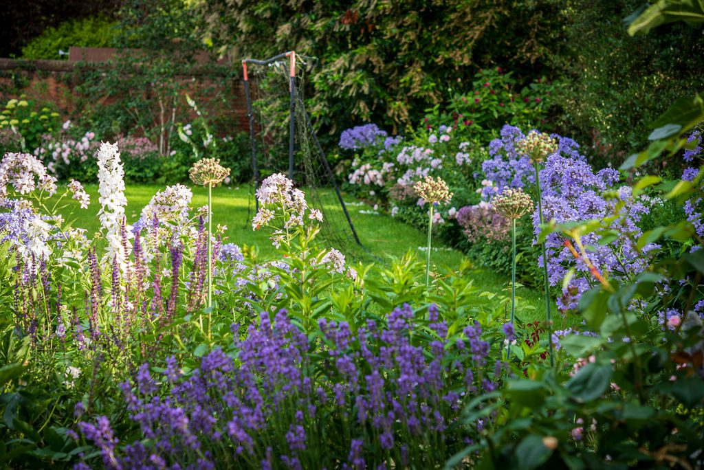 Oxfordshire summer garden with pink and blue flowers, lawn and football goal net.