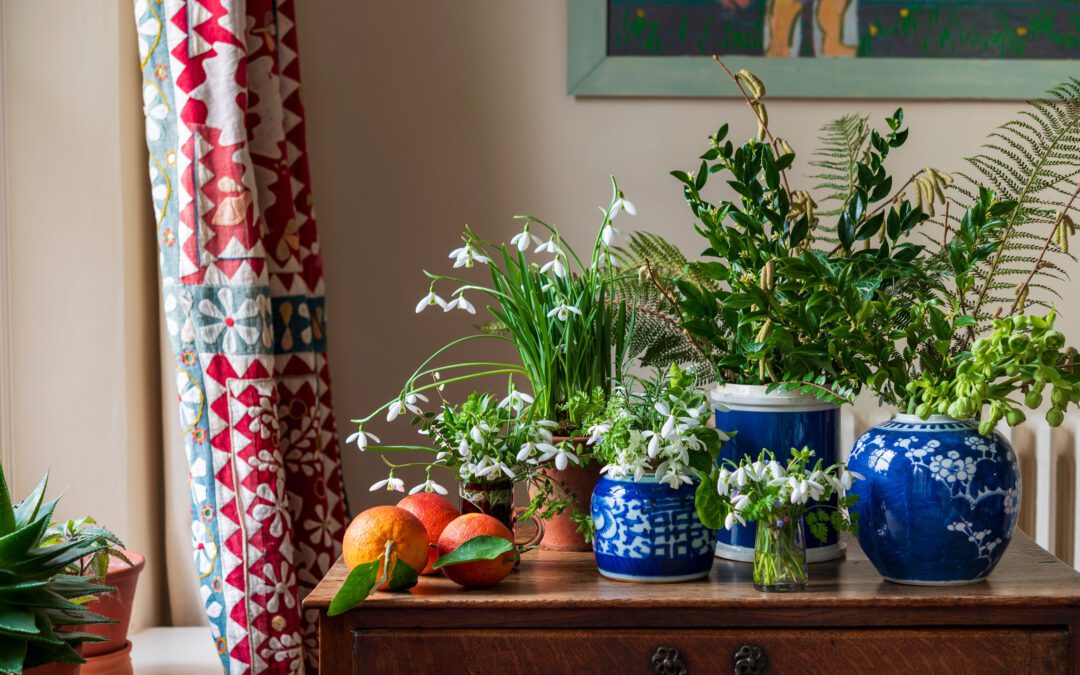 Marmalade and Snowdrop Time!