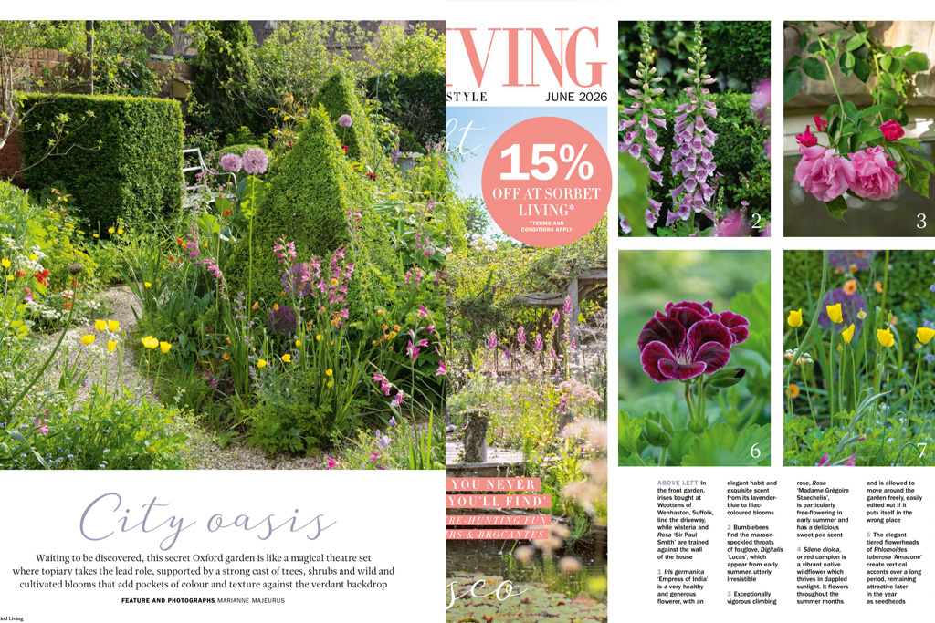 Lifestyle magazine feature